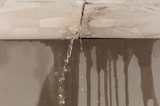 Professional Water Damage Repair technician working in Pineville, LA
